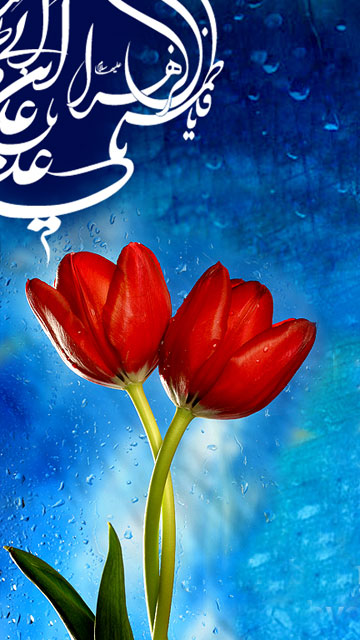 sanju name wallpaper,tulip,red,flower,plant,petal