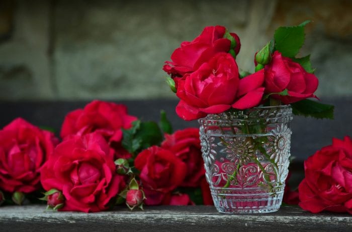 レヌ名壁紙,赤,庭のバラ,花,花弁,ピンク