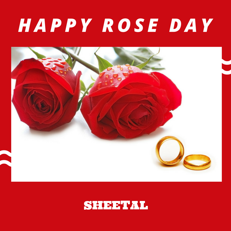 sheetal name wallpaper,red,text,rose,garden roses,cut flowers