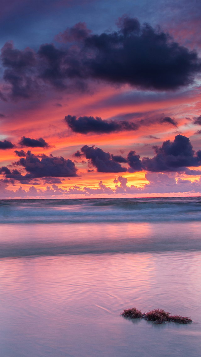 carta da parati nome foglio,cielo,corpo d'acqua,orizzonte,natura,cielo rosso al mattino