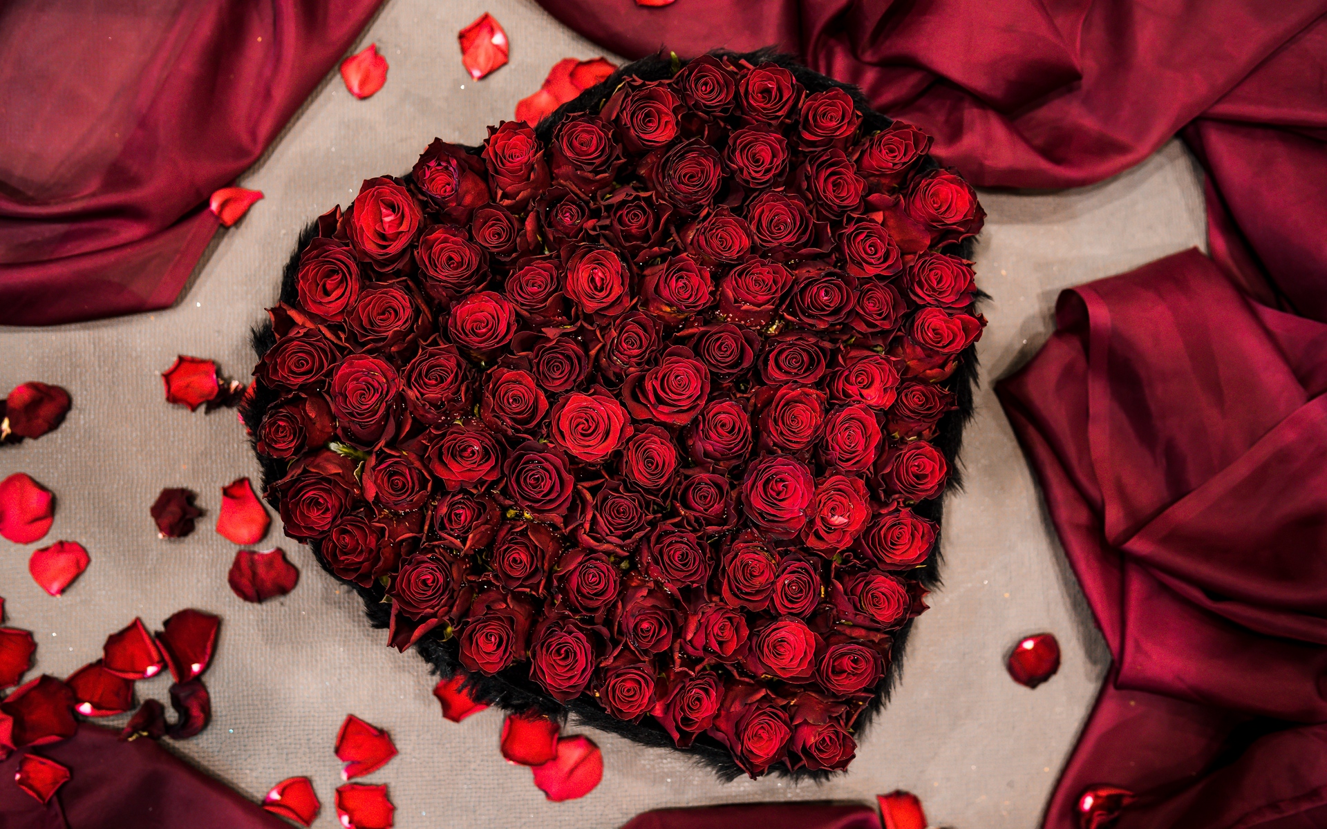 sapna 이름 사랑 벽지,빨간,발렌타인 데이,장미,꽃잎,정원 장미