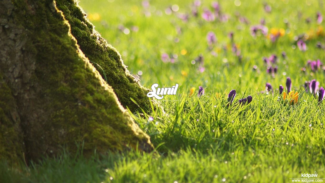 sunil 이름 벽지,자연,초록,잔디,목초지,자연 경관