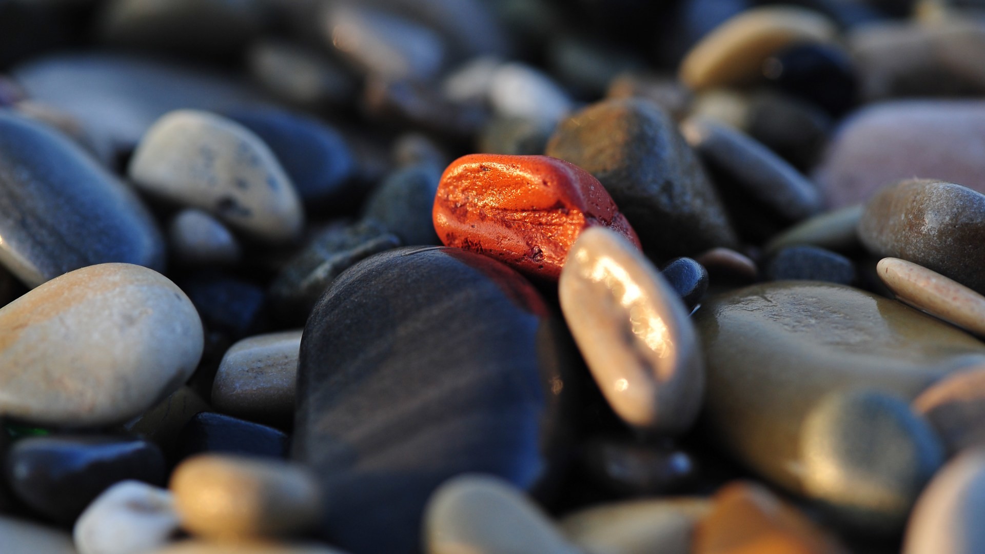 wallpaper hd for pc 1366x768,pebble,rock,close up,gravel,photography