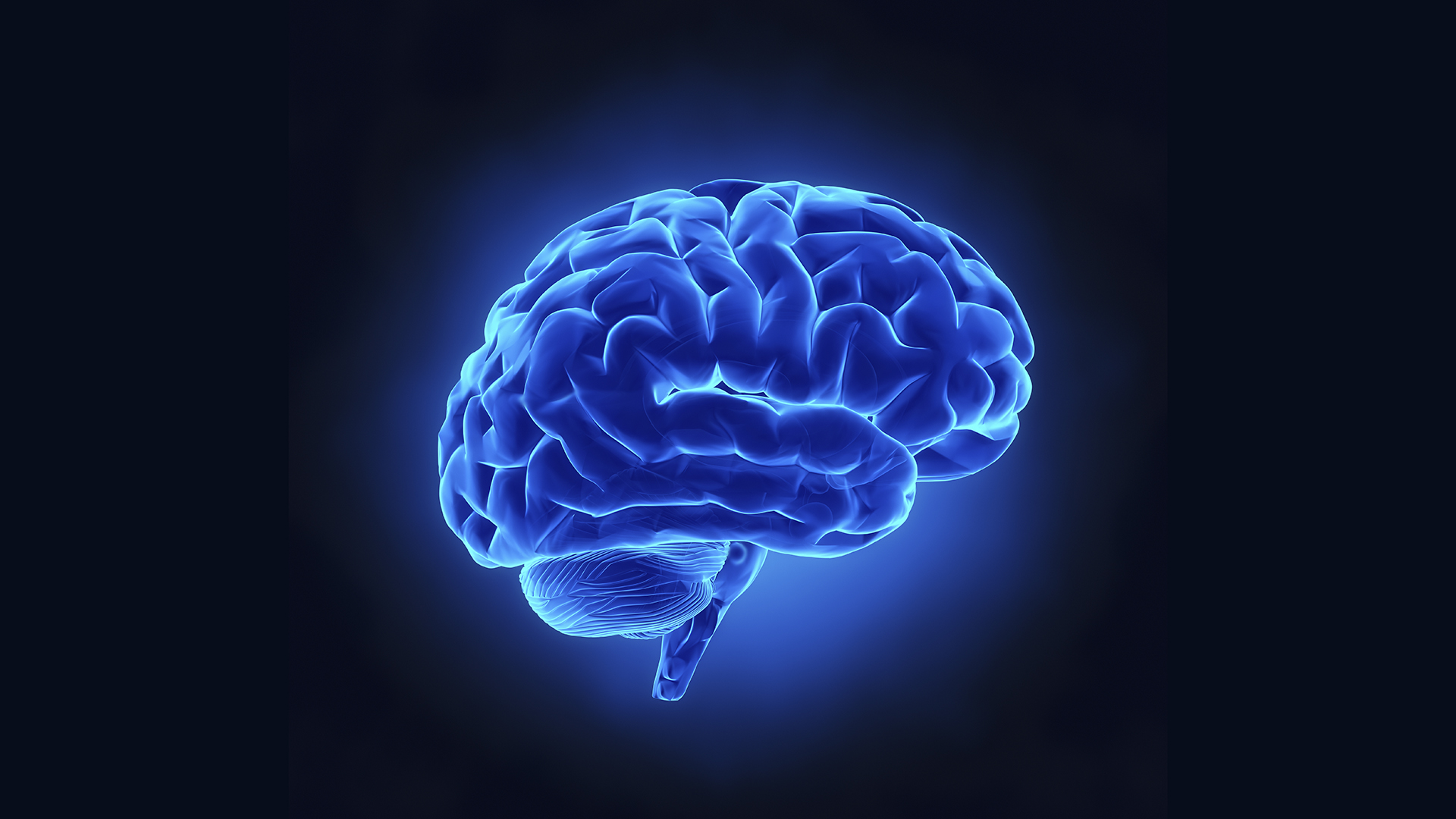 fondo de pantalla hd para pc 1366x768,cerebro,cerebro,azul eléctrico,agua,médico
