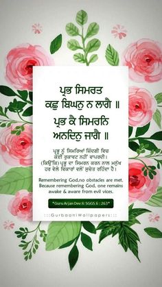 punjabi mutiyar wallpapers,rose,texte,rose,fleur,plante