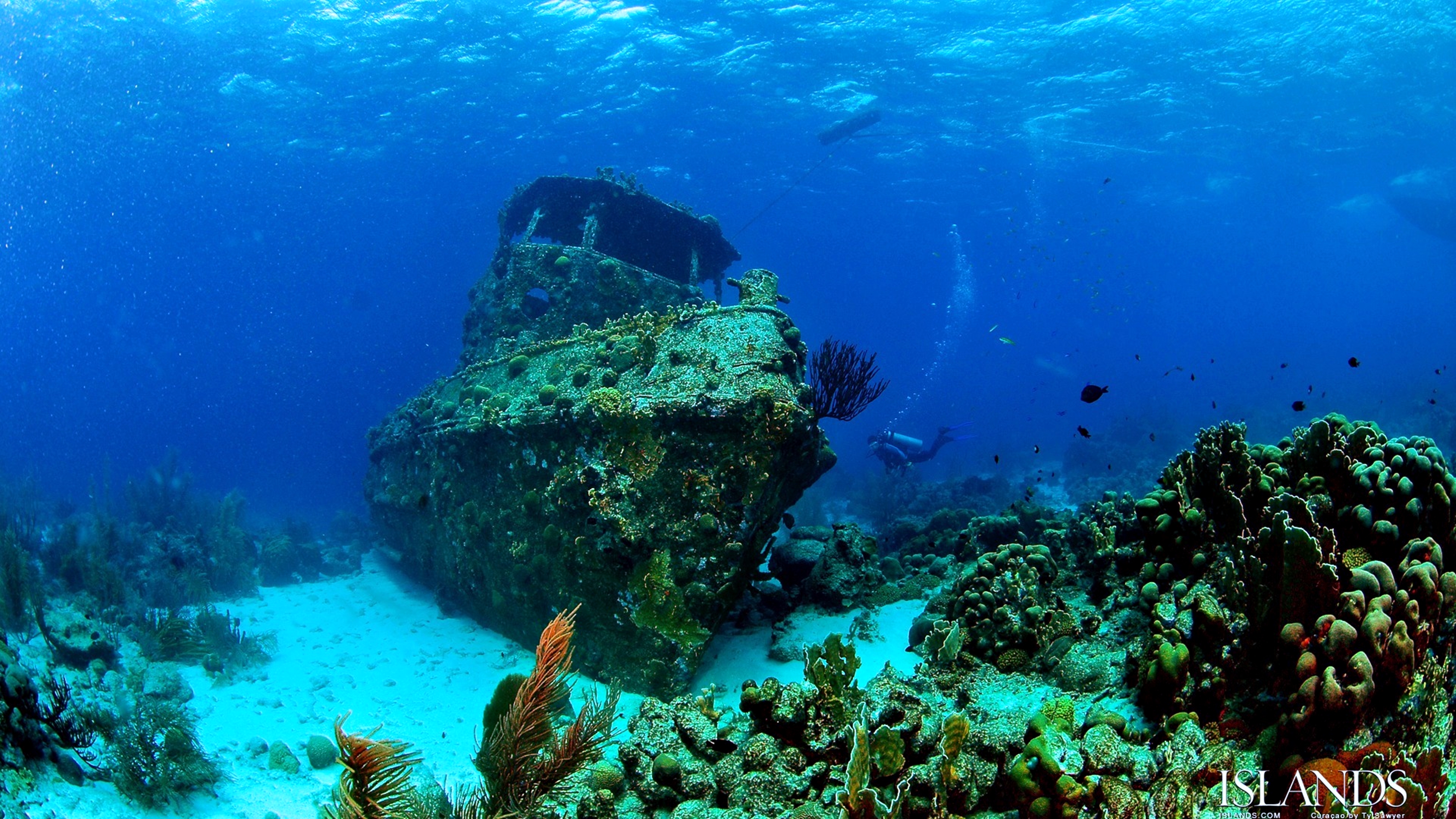 深海の壁紙のhd,リーフ,水中,サンゴ礁,海洋生物学,コーラル