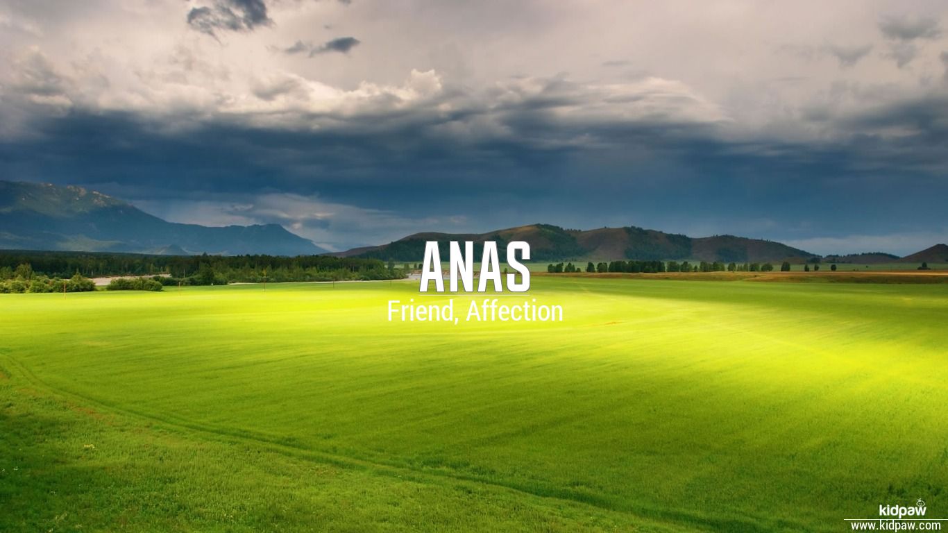 anas name wallpaper,grassland,field,nature,sky,green