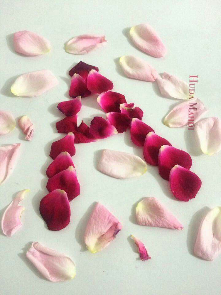annu name wallpaper,pink,petal,fashion accessory,plant,food