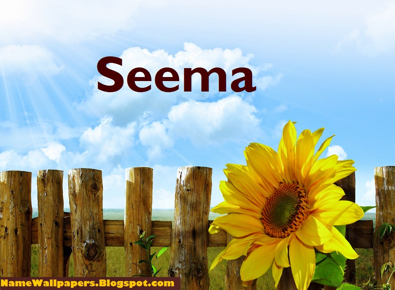 seema name wallpaper,nature,text,flower,sunflower,morning