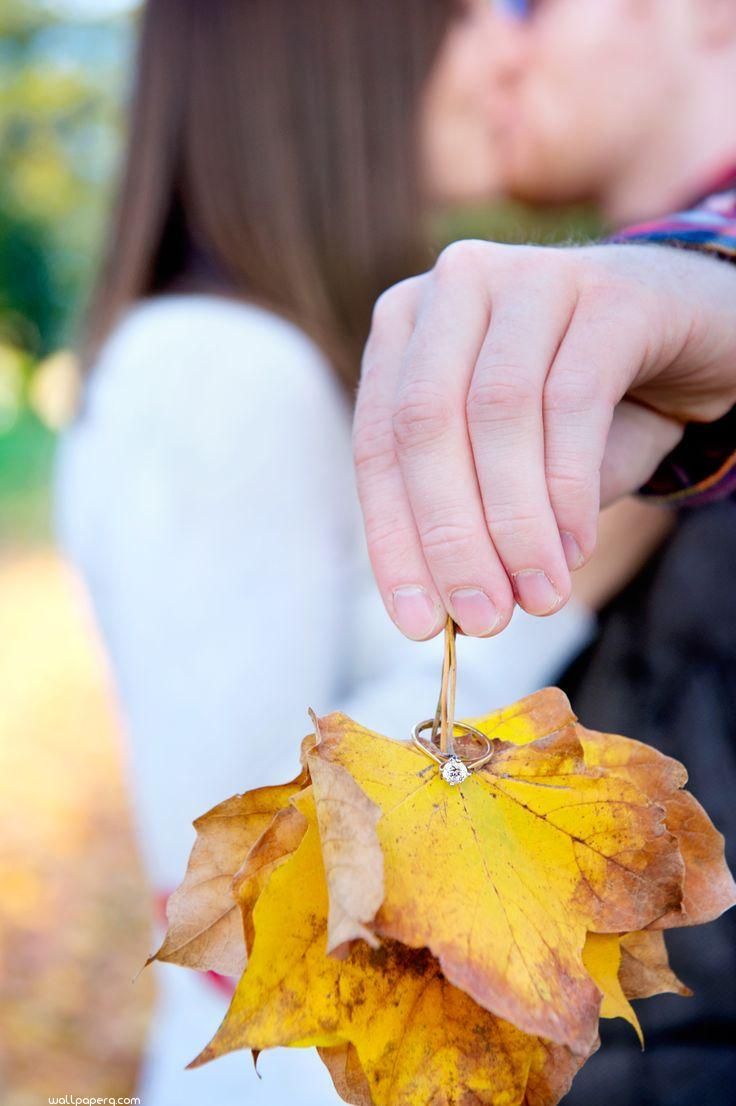 yadav name wallpaper hd,leaf,yellow,autumn,hand,tree