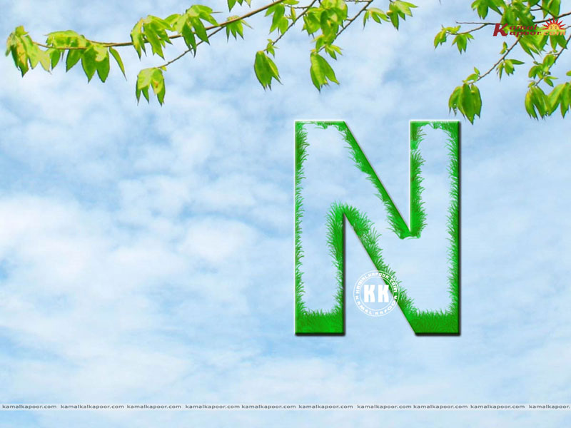 n name wallpaper foto,grün,text,schriftart,himmel,baum