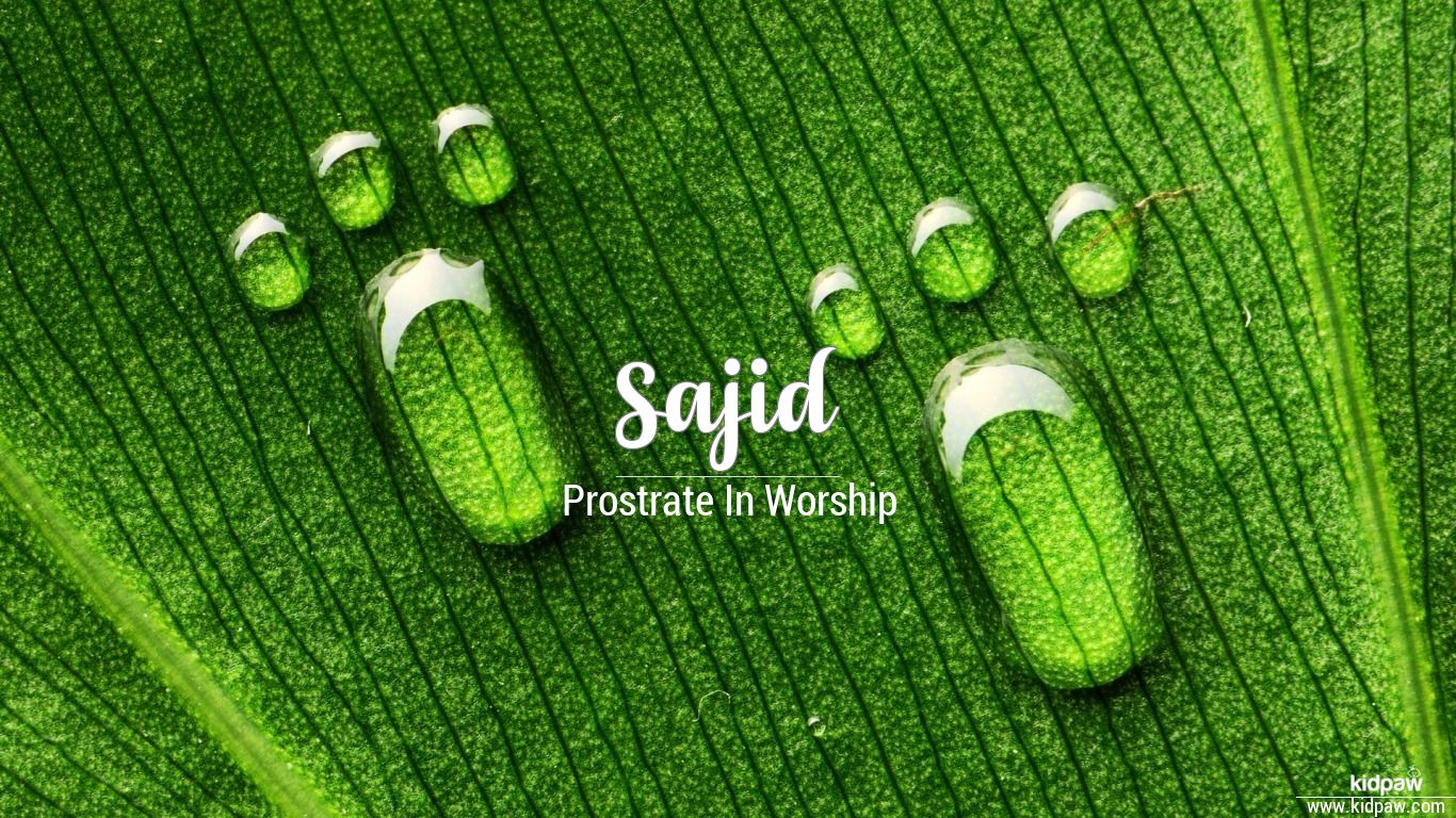 sajid name wallpaper,green,leaf,pill,pharmaceutical drug,grass