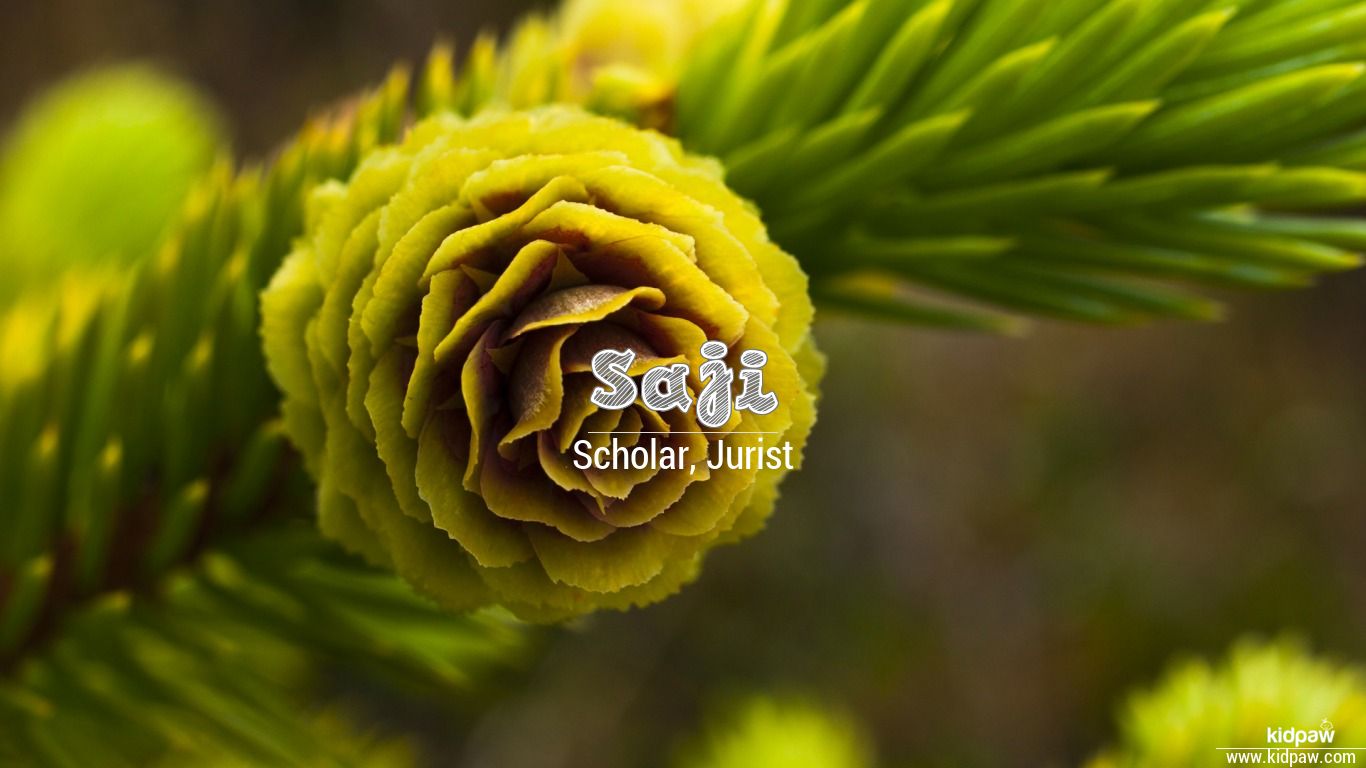 sajid name wallpaper,flower,plant,yellow,close up,leaf