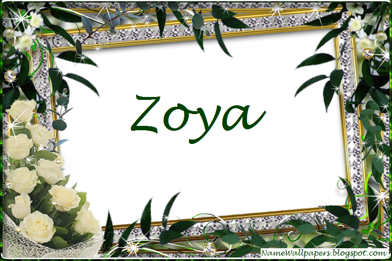 zoya name wallpaper,pflanze,blume,schriftart,bilderrahmen,illustration