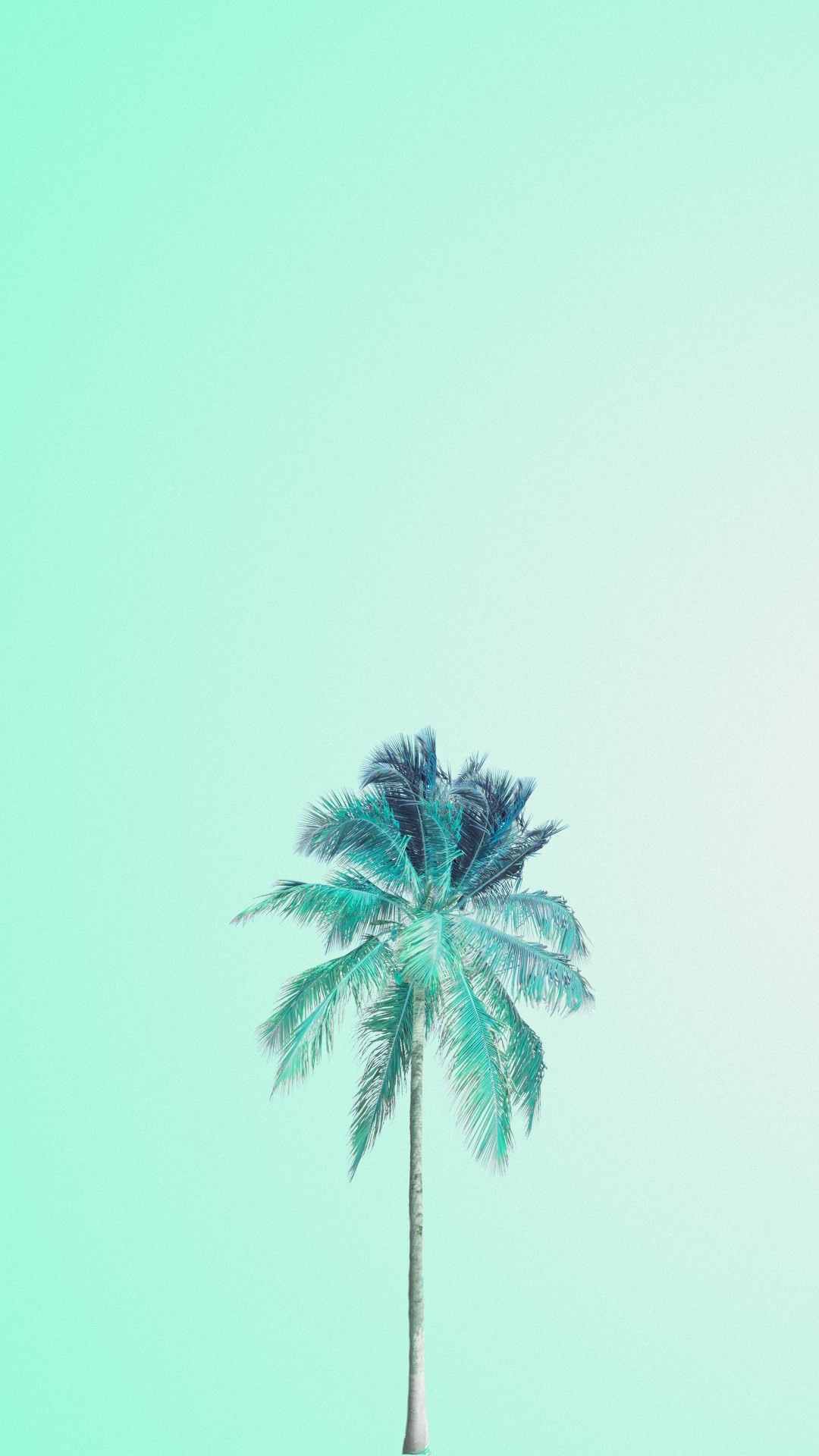 écran d'accueil fond d'écran tumblr,arbre,bleu,feuille,vert,ciel