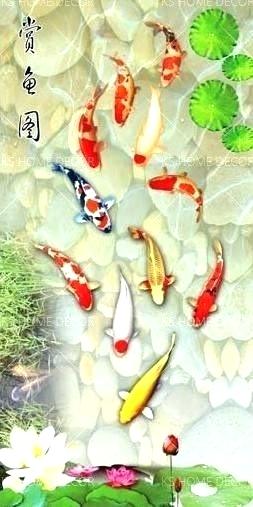 accha sa wallpaper,koi,pez alimentador,estanque,planta,pez