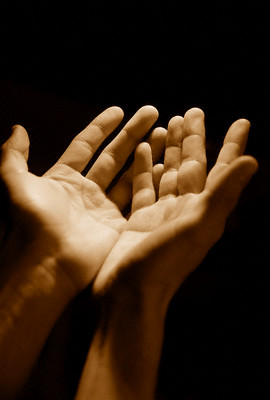 fonds d'écran dua hands,main,geste,langage des signes,humain,clou