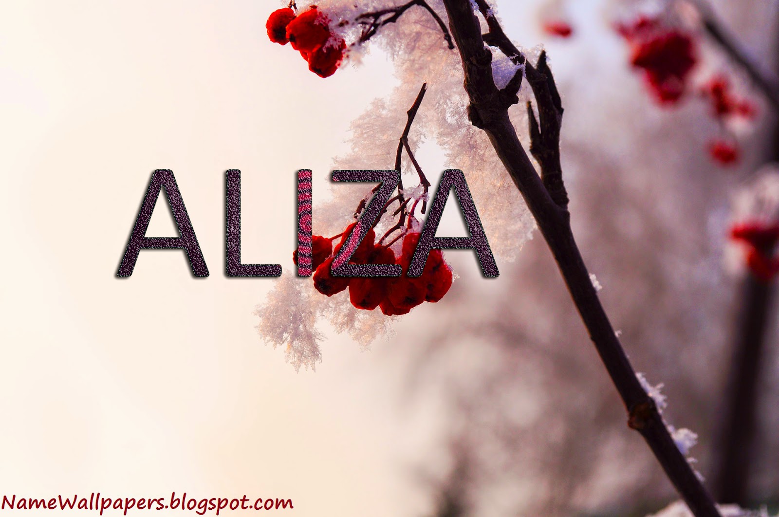 aliza name wallpaper,red,branch,winter,plant,twig