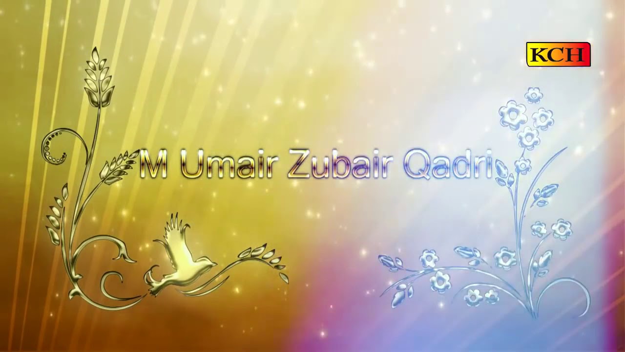 zubair name wallpaper,text,schriftart,illustration,pflanze,hintergrund