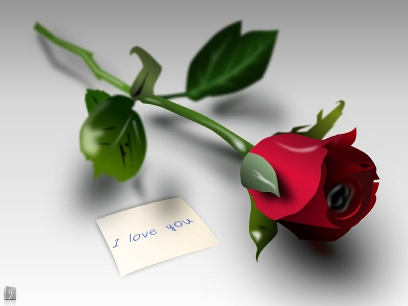 zubair name wallpaper,flower,red,plant,garden roses,petal (616229