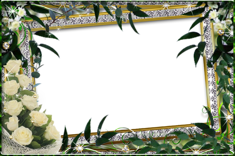 hajra name wallpaper,marco,planta,flor