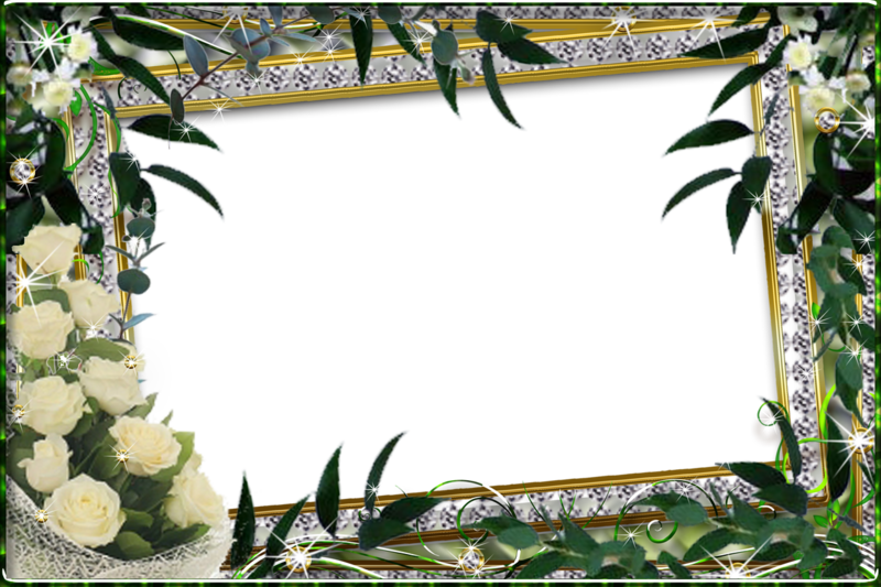 ハジラの名前の壁紙 額縁 工場 花 Wallpaperuse ハジラの名前の壁紙 額縁 工場 花 Wallpaperuse