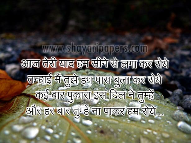 tuta hua dil wallpaper,leaf,water,organism,font,adaptation