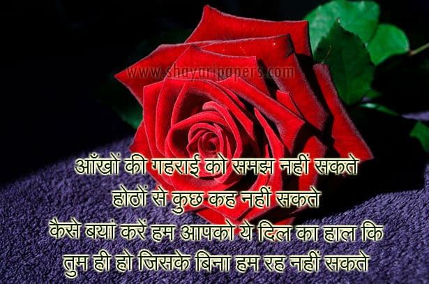 tuta hua dil wallpaper,rose,red,garden roses,flower,rose family