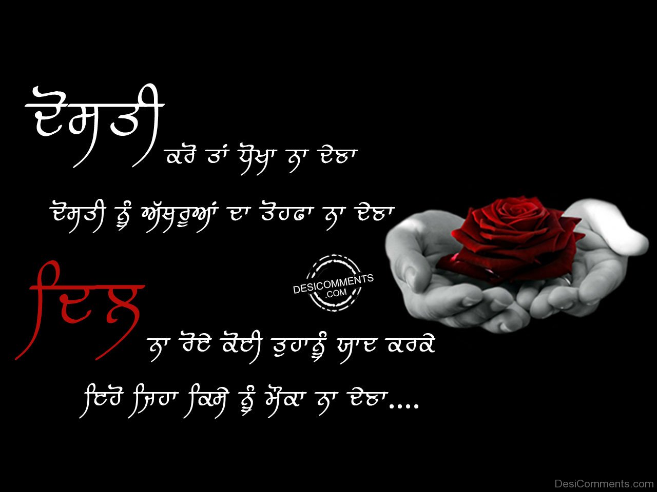 dhokha壁紙,赤,テキスト,フォント,愛,花弁