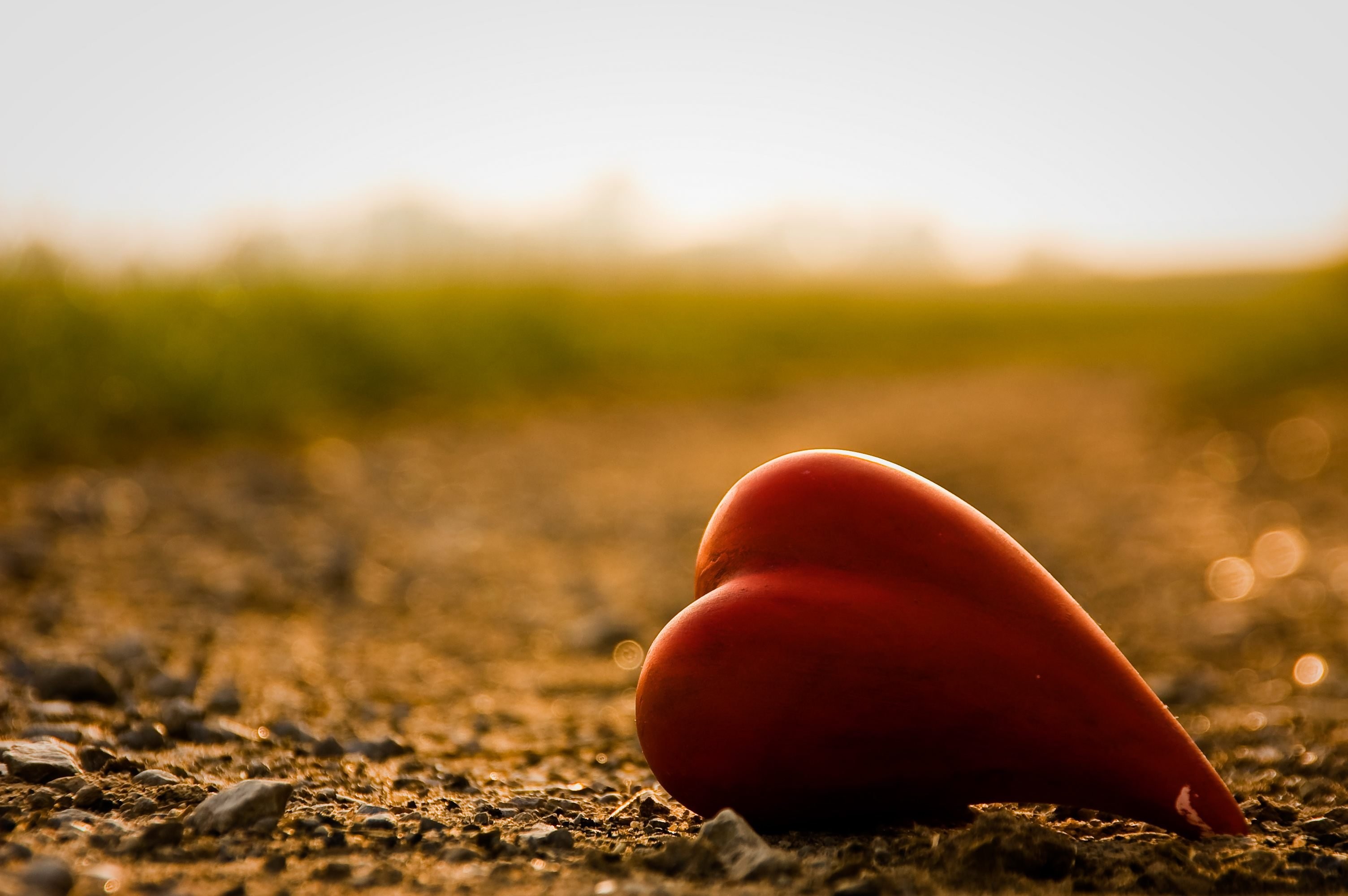 sad heart wallpaper,red,nature,natural landscape,sky,soil