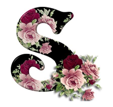 소니아 이름 벽지,분홍,꽃,식물,장미,디자인