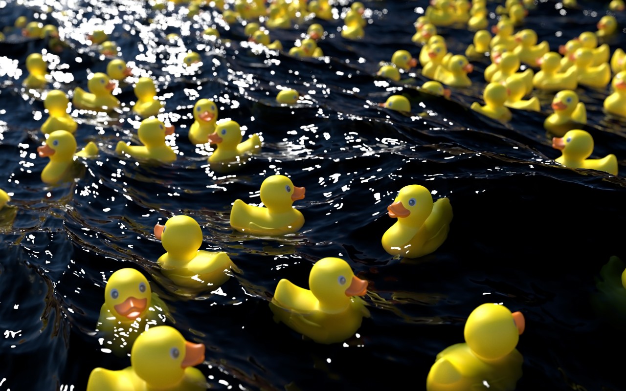 best 3d wallpapers for mobile free download,duck,rubber ducky,yellow,water bird,bird