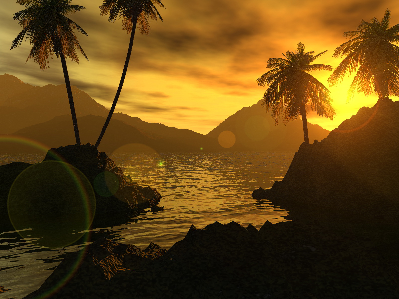 fond d'écran 3d haute résolution,la nature,ciel,palmier,arbre,paysage naturel