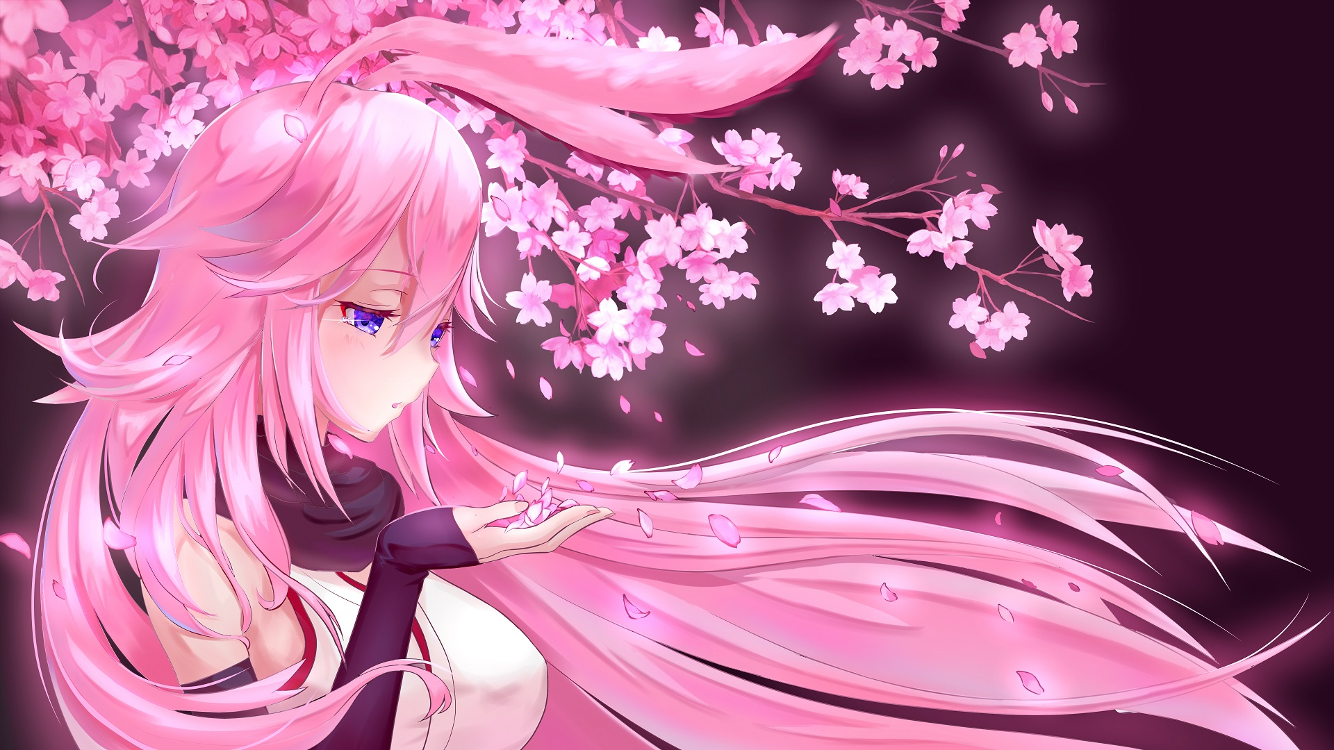 3er fondo de pantalla,rosado,cg artwork,anime,dibujos animados,primavera