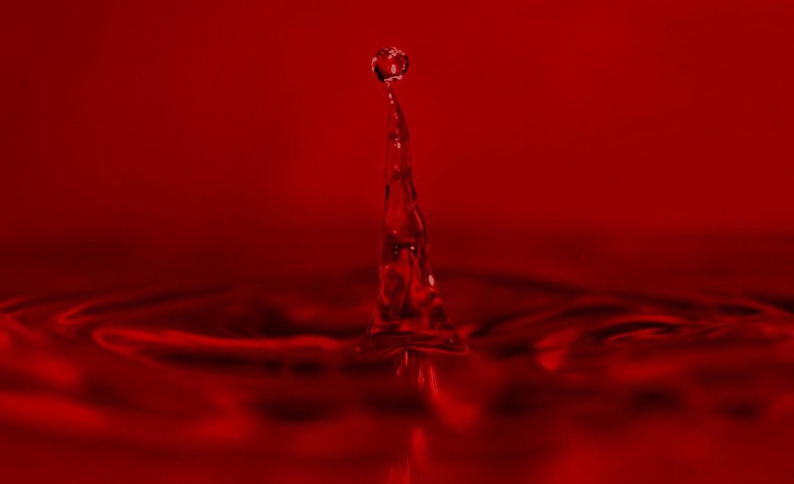 blood wallpaper hd,drop,red,water,liquid,macro photography