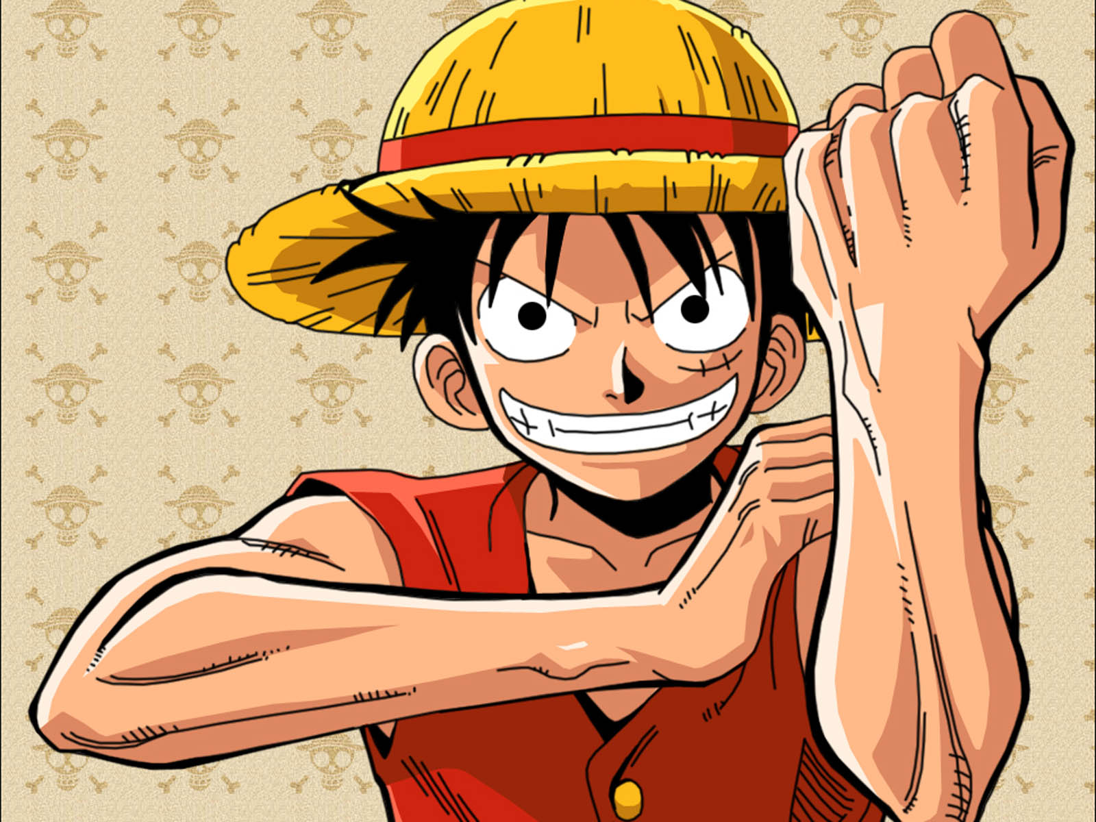 one piece cool wallpaper,cartoon,anime,animated cartoon,illustration,gesture