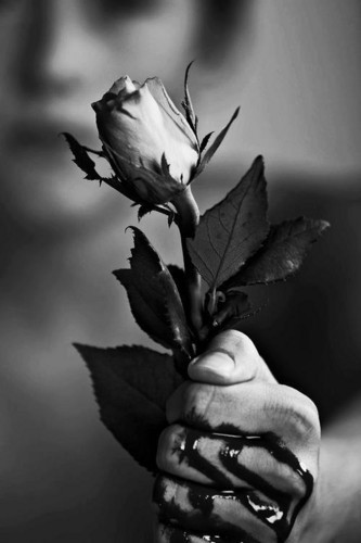 슬픈 노래 벽지,하얀,흑백 사진,검정색과 흰색,꽃,정물 사진