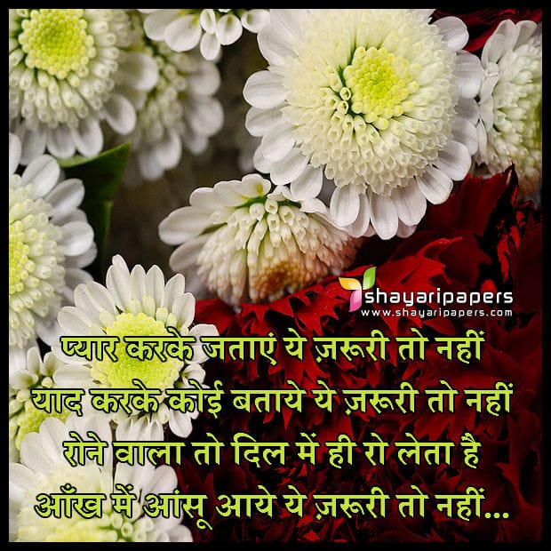 dil ke wallpaper download,flower,plant,text,petal,morning (623566) WallpaperUse