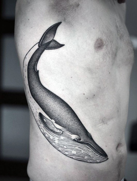 attitude wale wallpaper,tattoo,arm,dolphin,shoulder,marine mammal