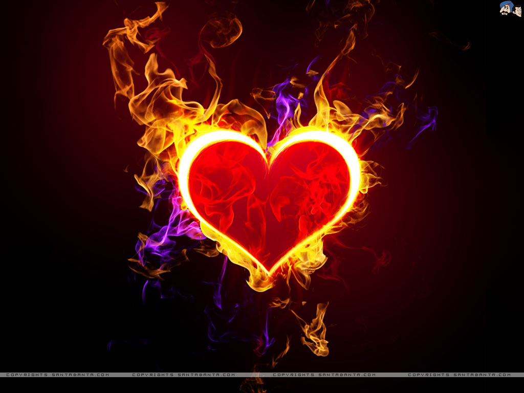 딜 벽지 무료 다운로드,심장,빨간,사랑,폰트,그래픽 디자인