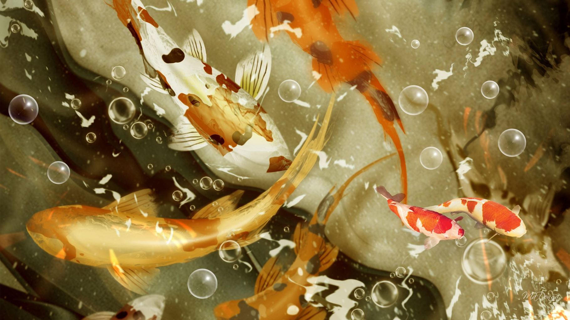 fish wallpaper hd 3d,koi,water,organism,art,illustration