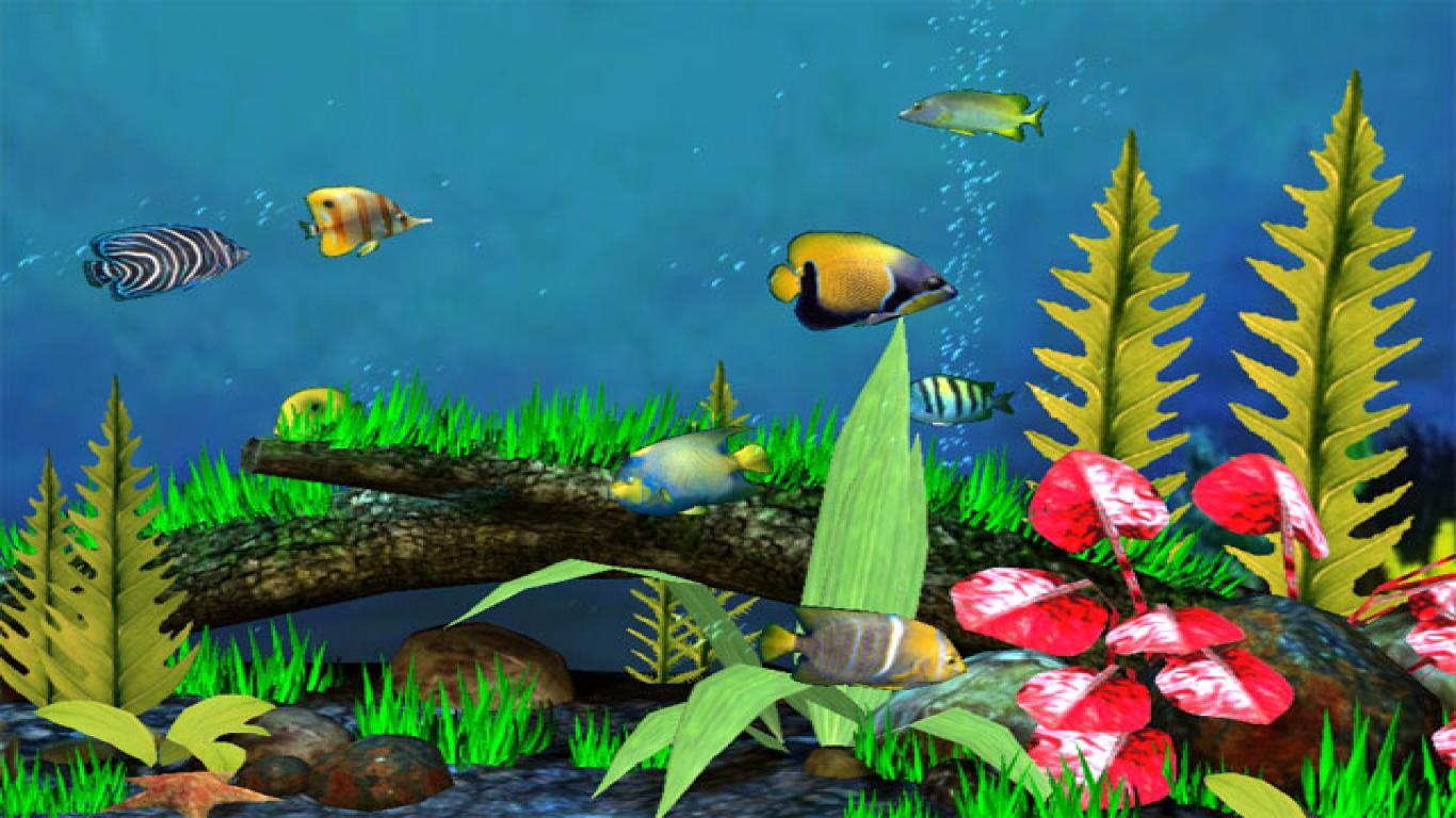 fond d'écran poisson hd 3d,biologie marine,sous marin,poisson,poisson,aquarium