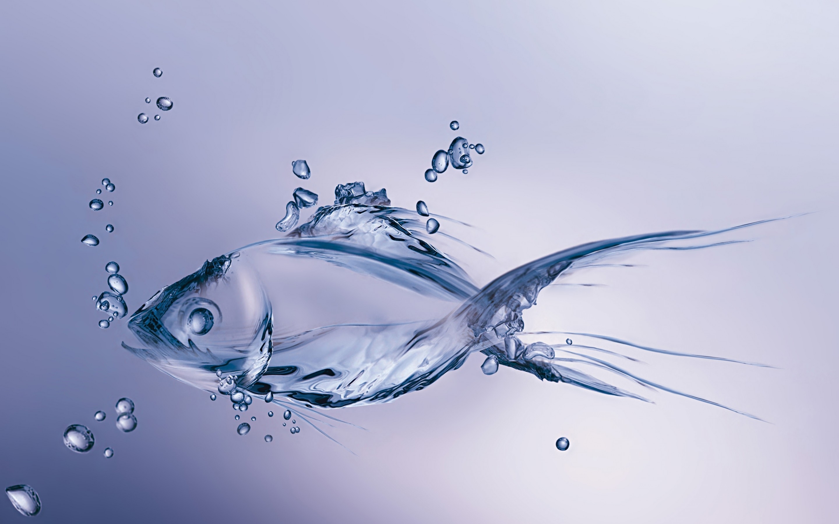 fish live wallpaper download,water,liquid,fish,fish,organism