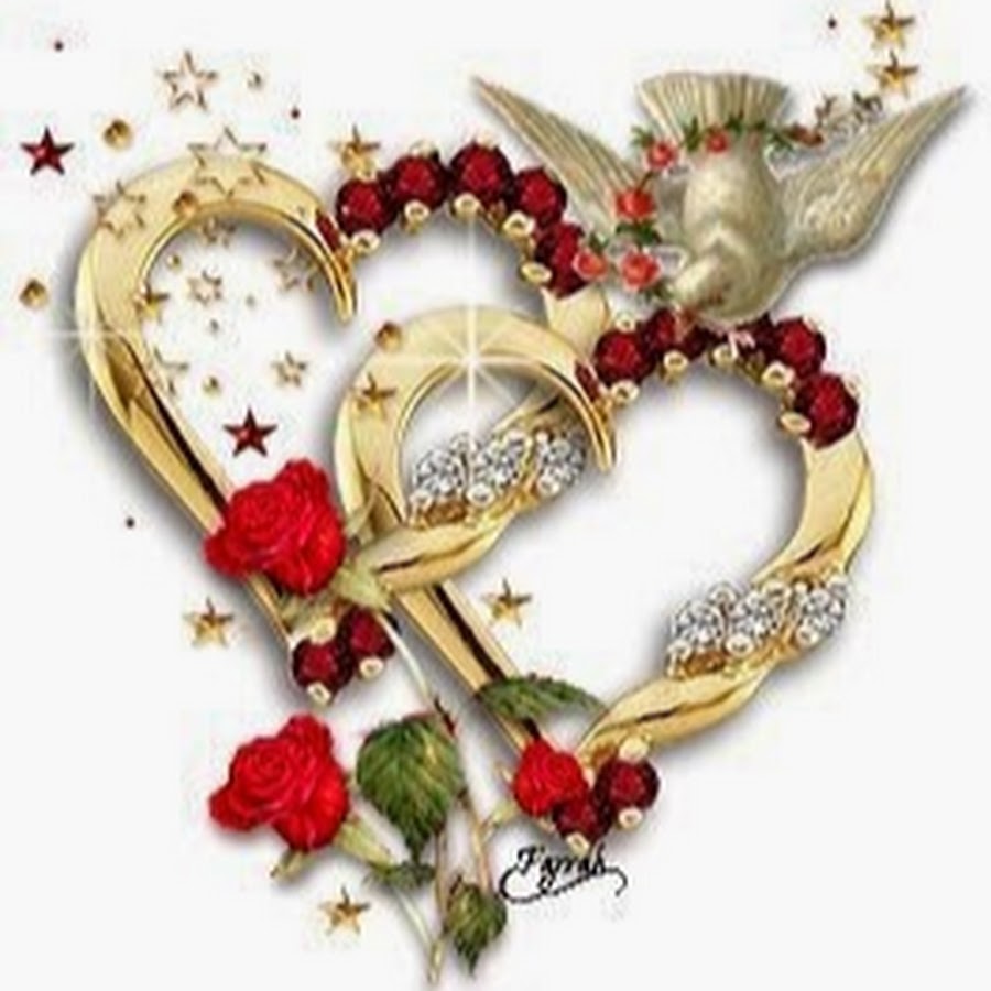 nome s amore sfondo,cuore,amore,ornamento,san valentino,agrifoglio