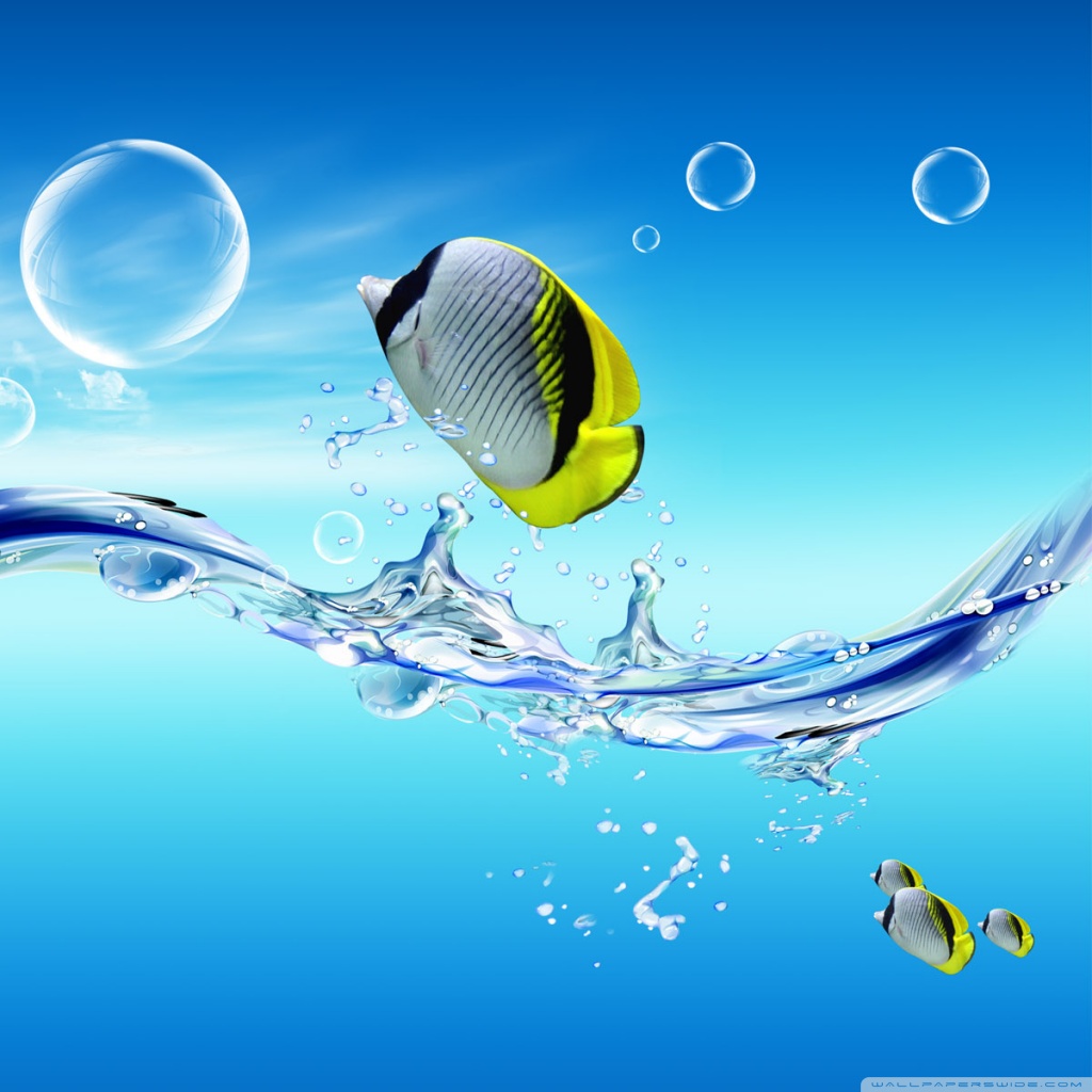 water fish wallpaper free download,water,sky,butterflyfish,liquid,marine biology