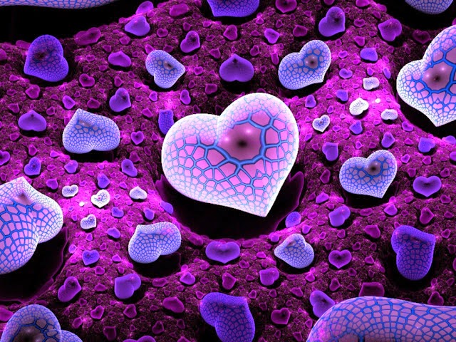 likha hua wallpaper,heart,purple,organism,violet,love