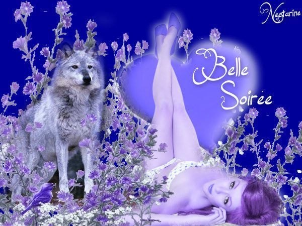 chalne wale wallpaper,purple,lavender,violet,fictional character,christmas eve