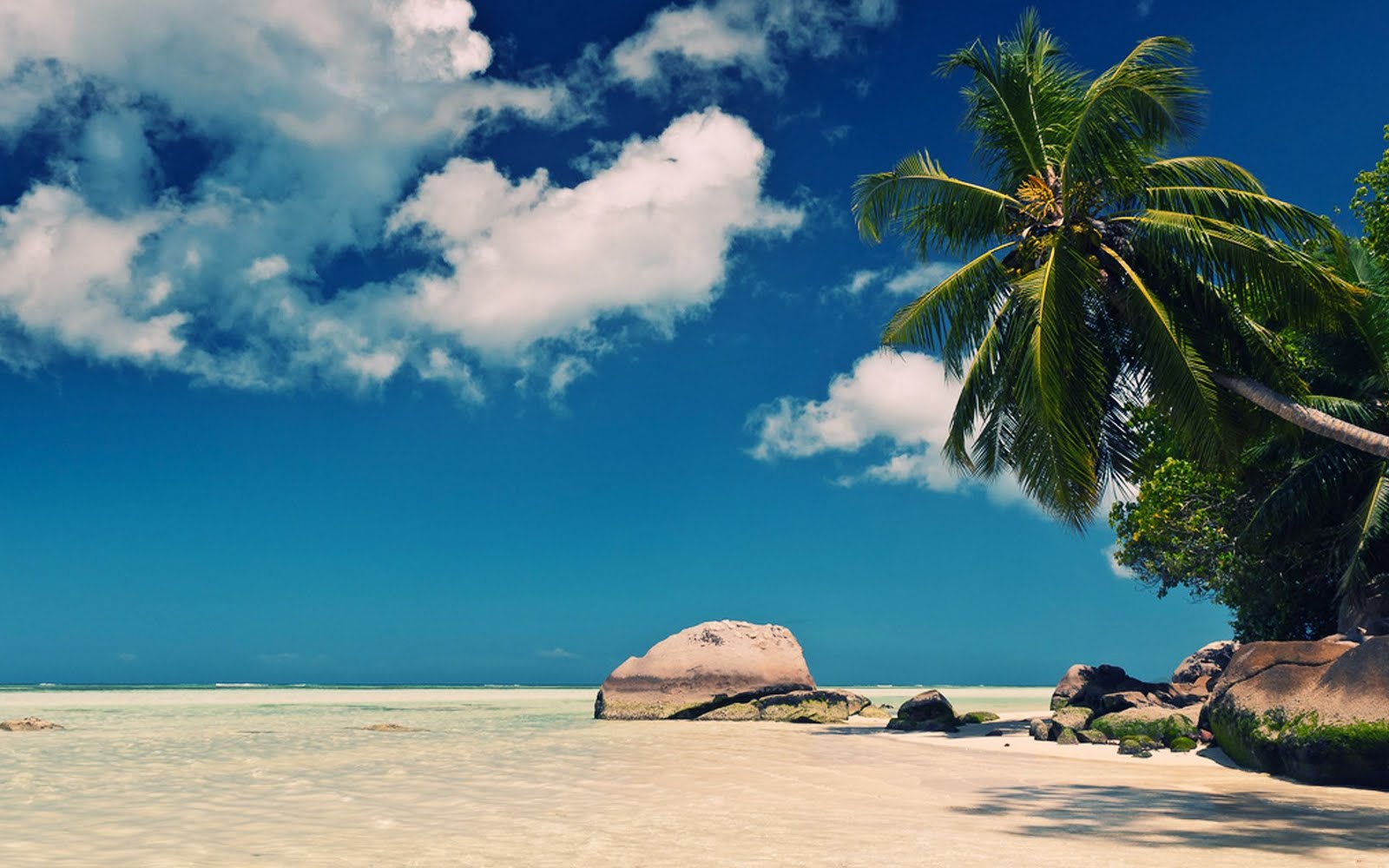 fondos de pantalla pemandangan laut,cielo,naturaleza,árbol,mar,playa