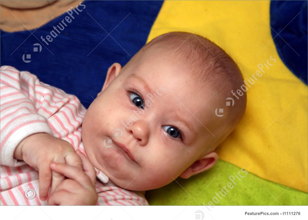 scusa baby wallpaper,bambino,bambino,viso,avvicinamento,bambino piccolo