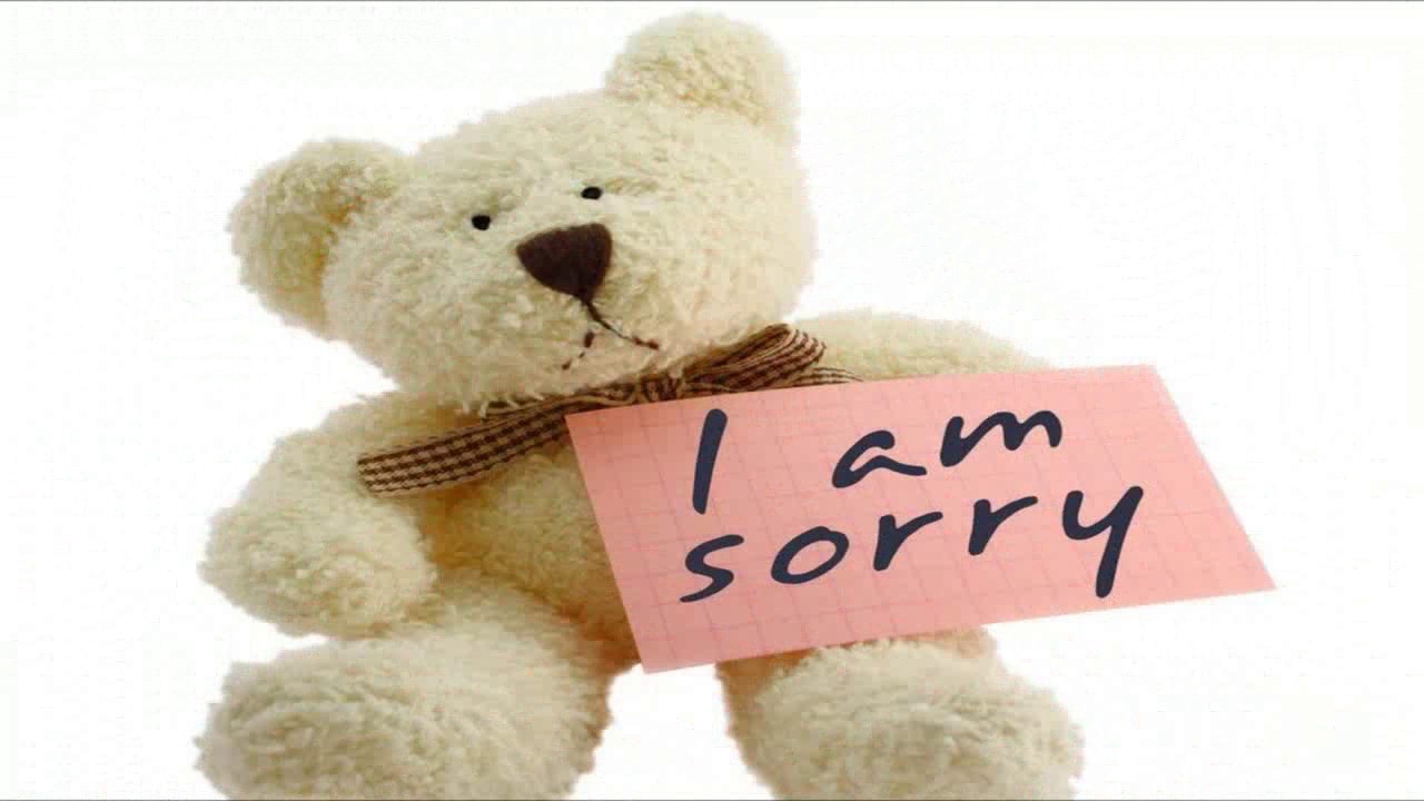 sorry baby wallpaper,stuffed toy,teddy bear,toy,plush,bear